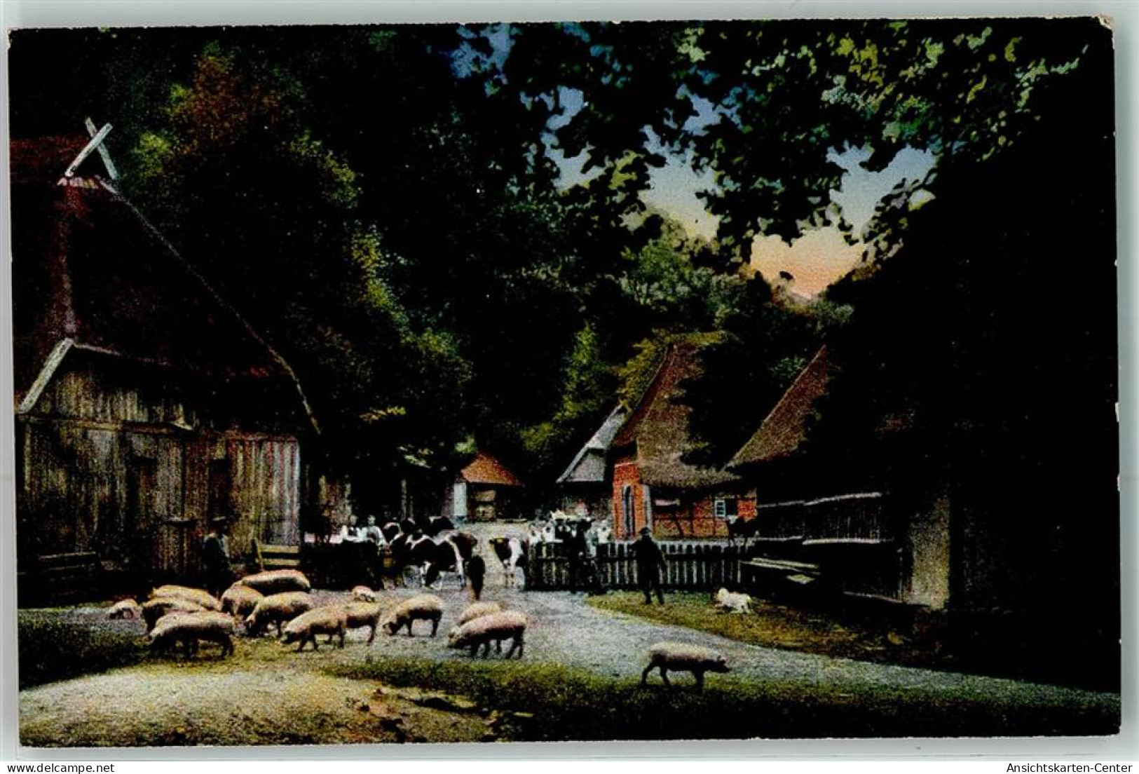 39421708 - Niedersaechsischer Bauernhof Schweine Kuehe - Autres & Non Classés