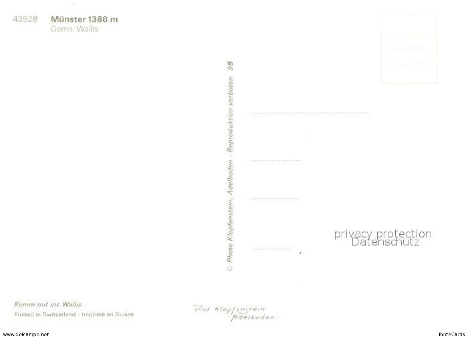 13789859 Muenster Goms VS Panorama  - Altri & Non Classificati