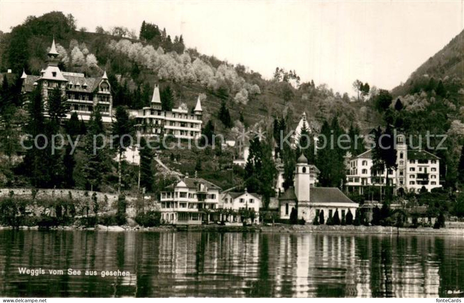 13786247 Weggis Vierwaldstaettersee Seeblick Weggis Vierwaldstaettersee - Altri & Non Classificati