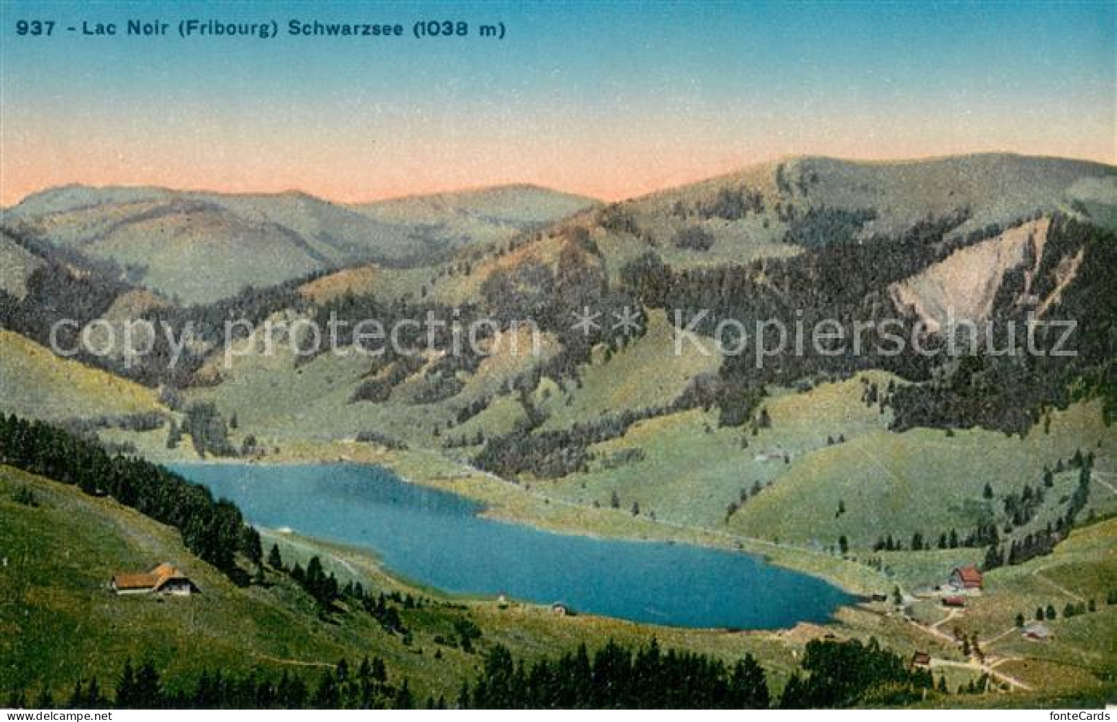 13784449 Lac Noir Schwarzsee FR Panorama Lac Noir Schwarzsee FR - Other & Unclassified