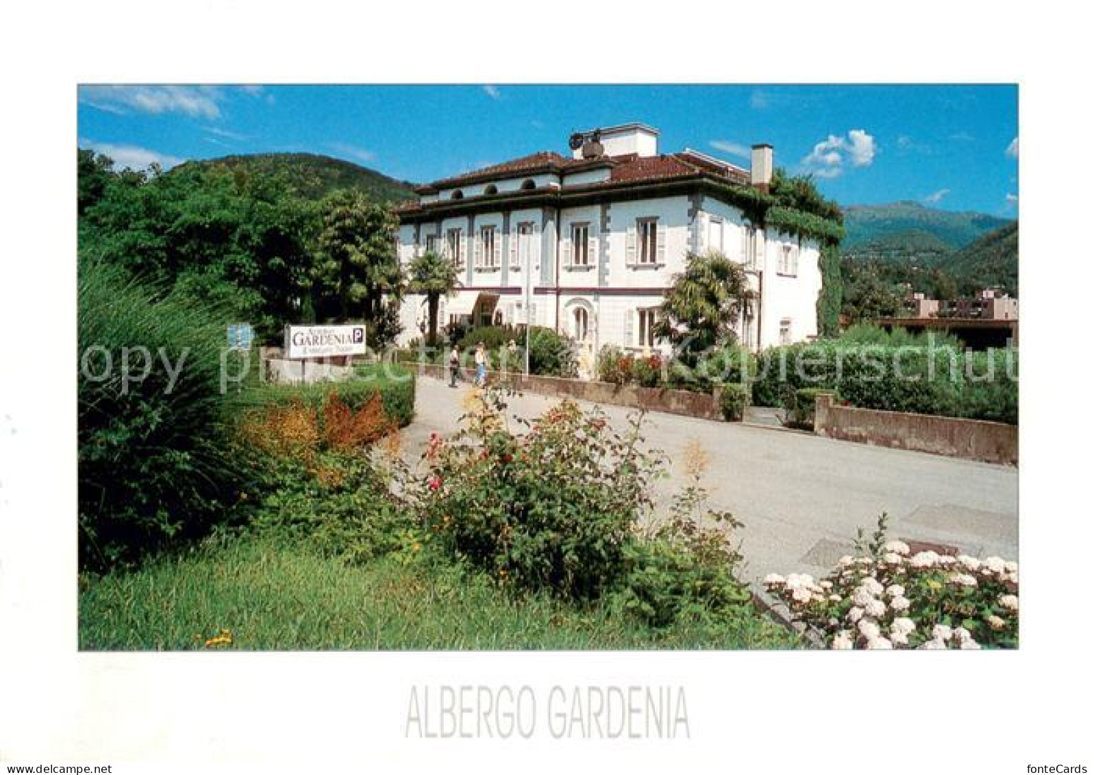 13766507 Caslano TI Albergo Gardenia  - Autres & Non Classés