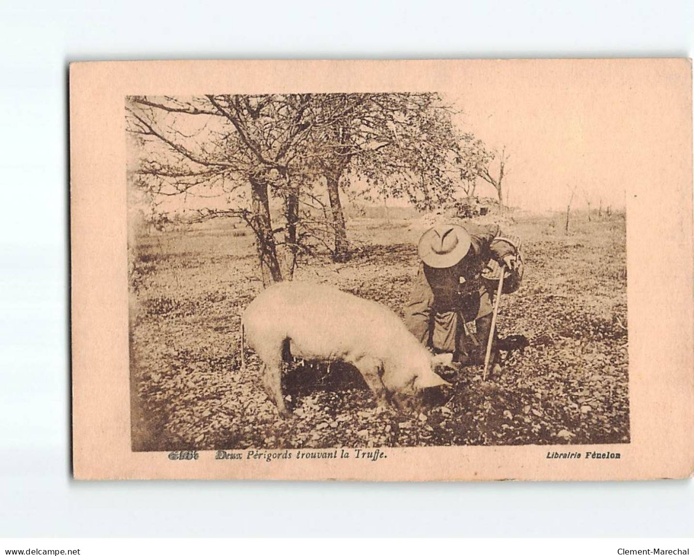 Deux Périgords Trouvant La Truffe - Très Bon état - Other & Unclassified