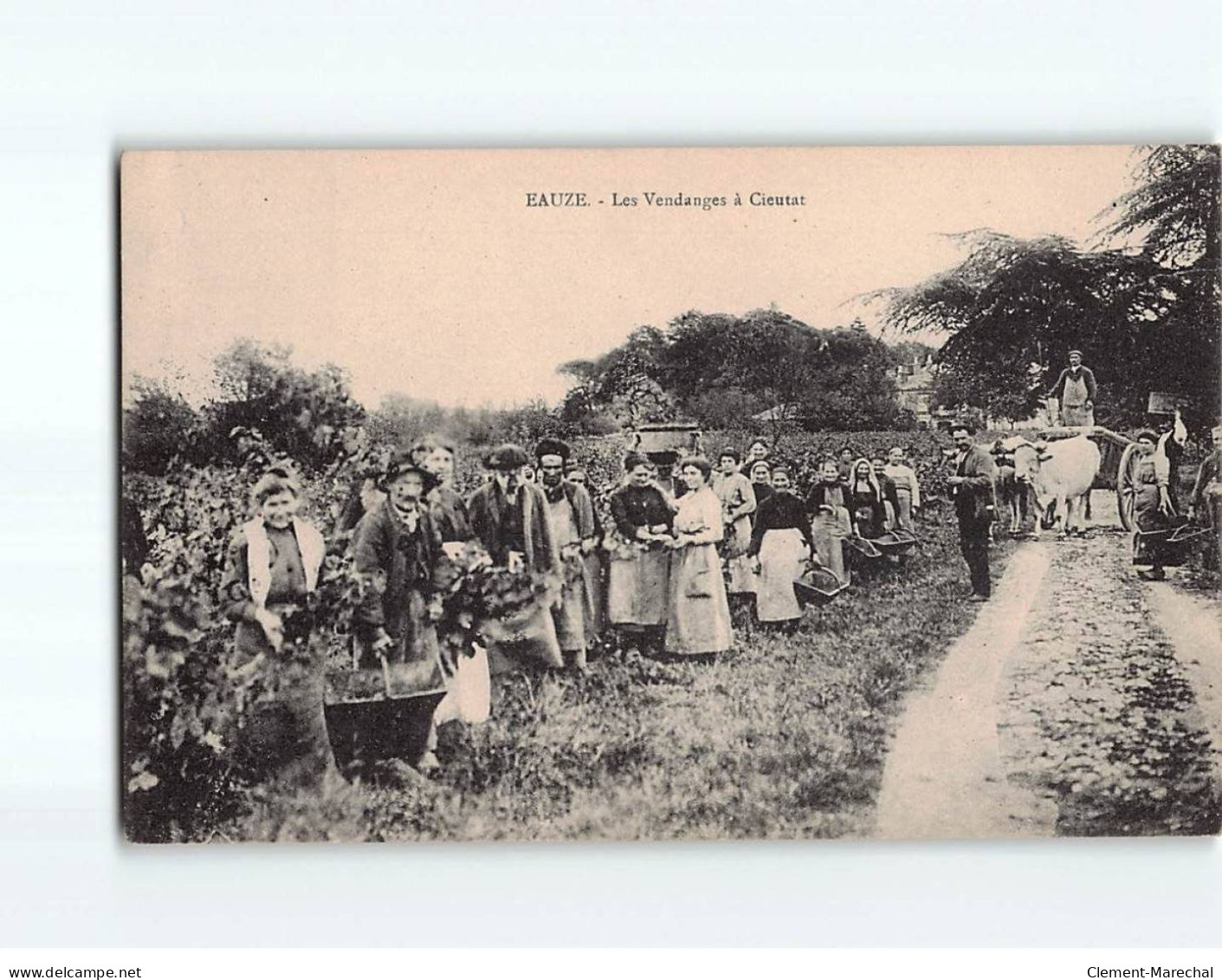 EAUZE : Les Vendanges à Cieutat - Très Bon état - Altri & Non Classificati