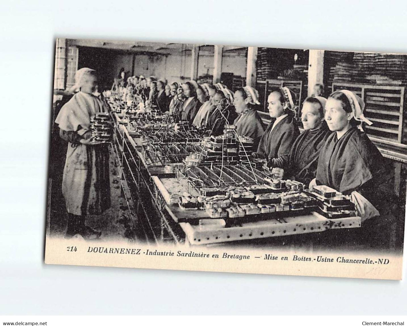 DOUARNENEZ : Industrie Sardinière, Mise En Boites, Usine Chancerelle - Très Bon état - Douarnenez