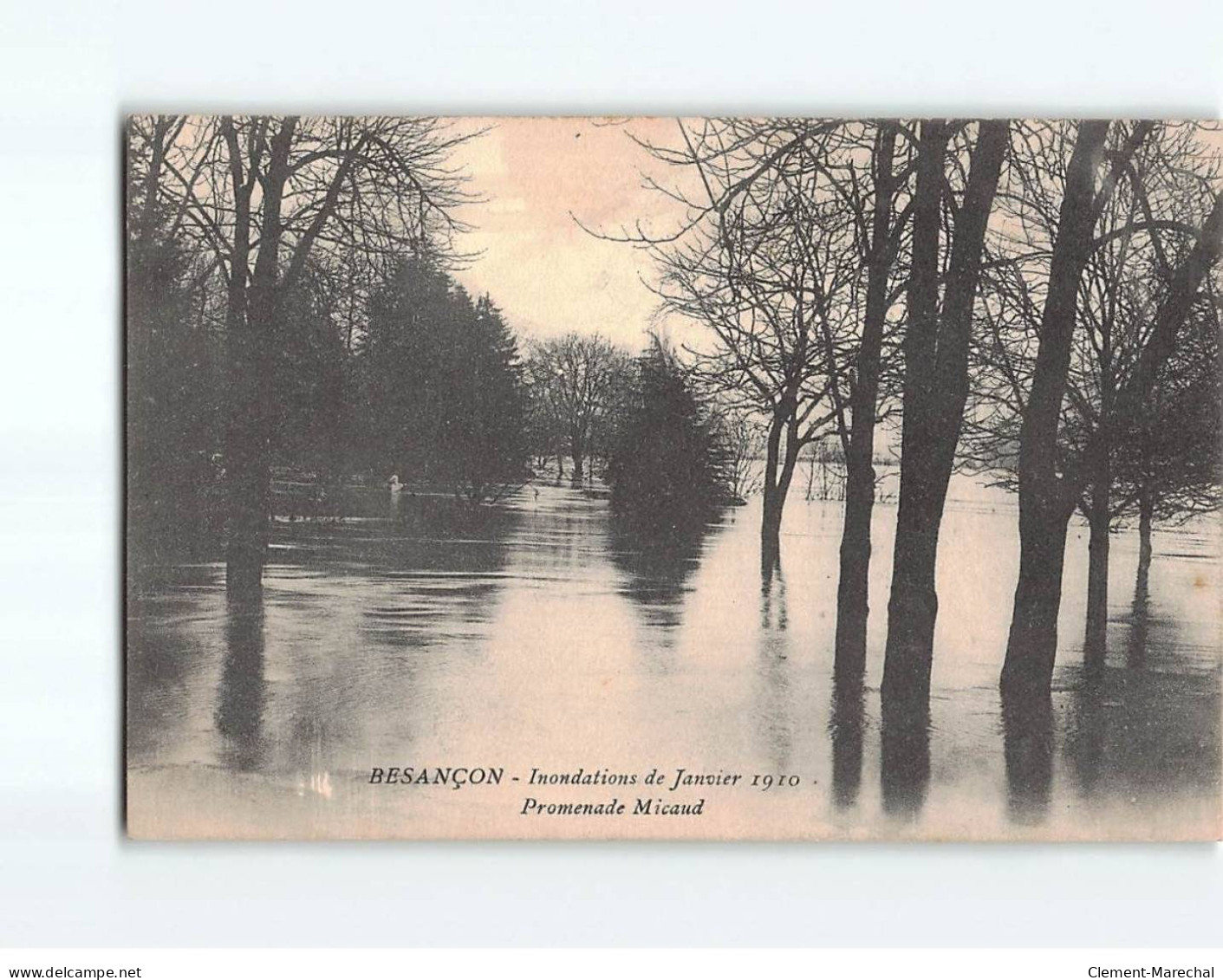 BESANCON : Inondations De 1910, Promenade Micaud - Très Bon état - Besancon