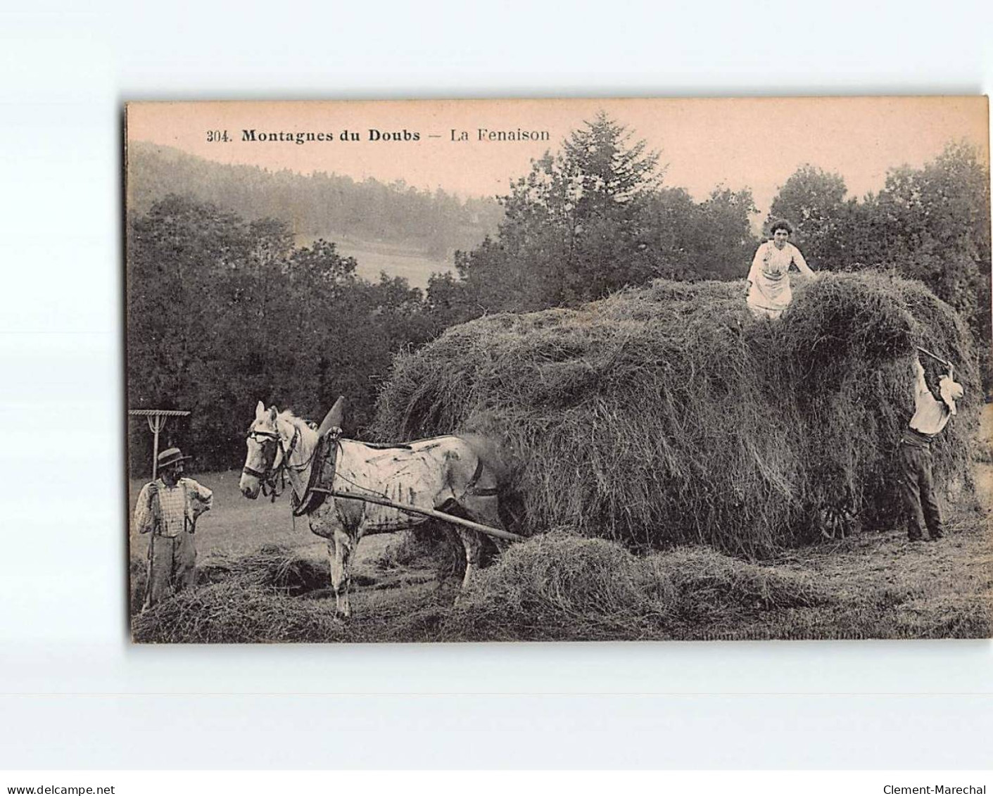 Montagne Du Doubs, La Fenaison - état - Otros & Sin Clasificación