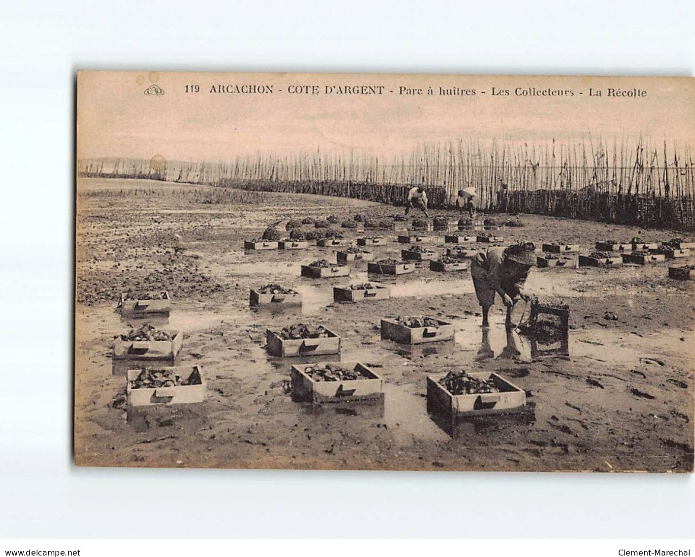 ARCACHON : Parc à Huîtres, Les Collecteurs, La Récolte - Très Bon état - Arcachon