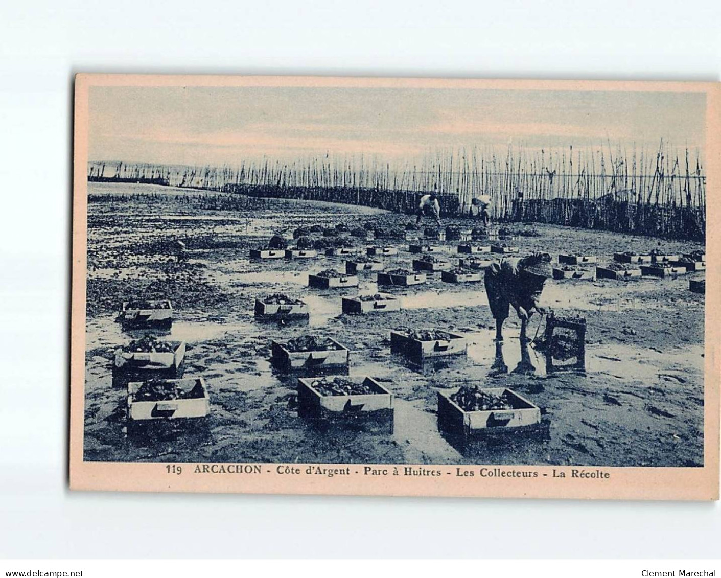 ARCACHON : Parc à Huîtres, Les Collecteurs, La Récolte - Très Bon état - Arcachon