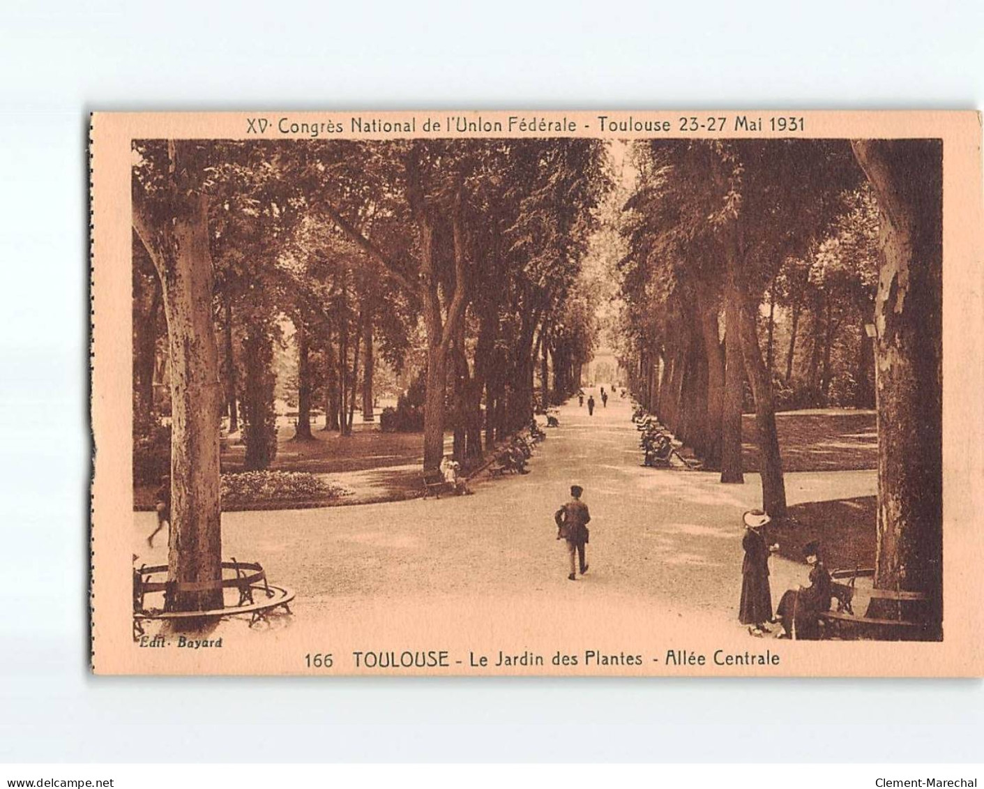 TOULOUSE : Le Jardin Des Plantes, Allée Centrale - Très Bon état - Toulouse