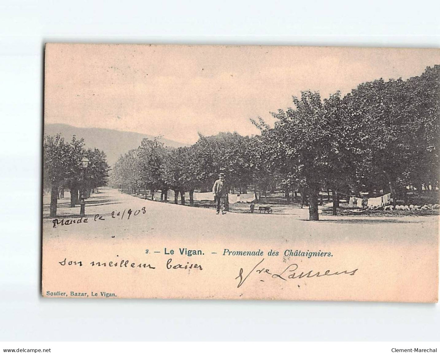 LE VIGAN : Promenade Des Châtaigniers - Très Bon état - Le Vigan