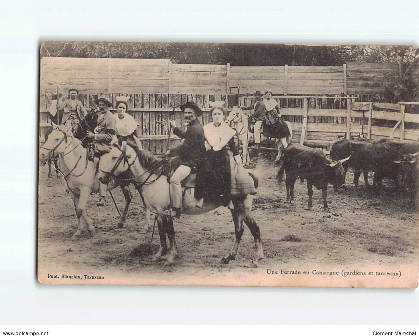 Une Ferrade En Camargue -  état - Altri & Non Classificati