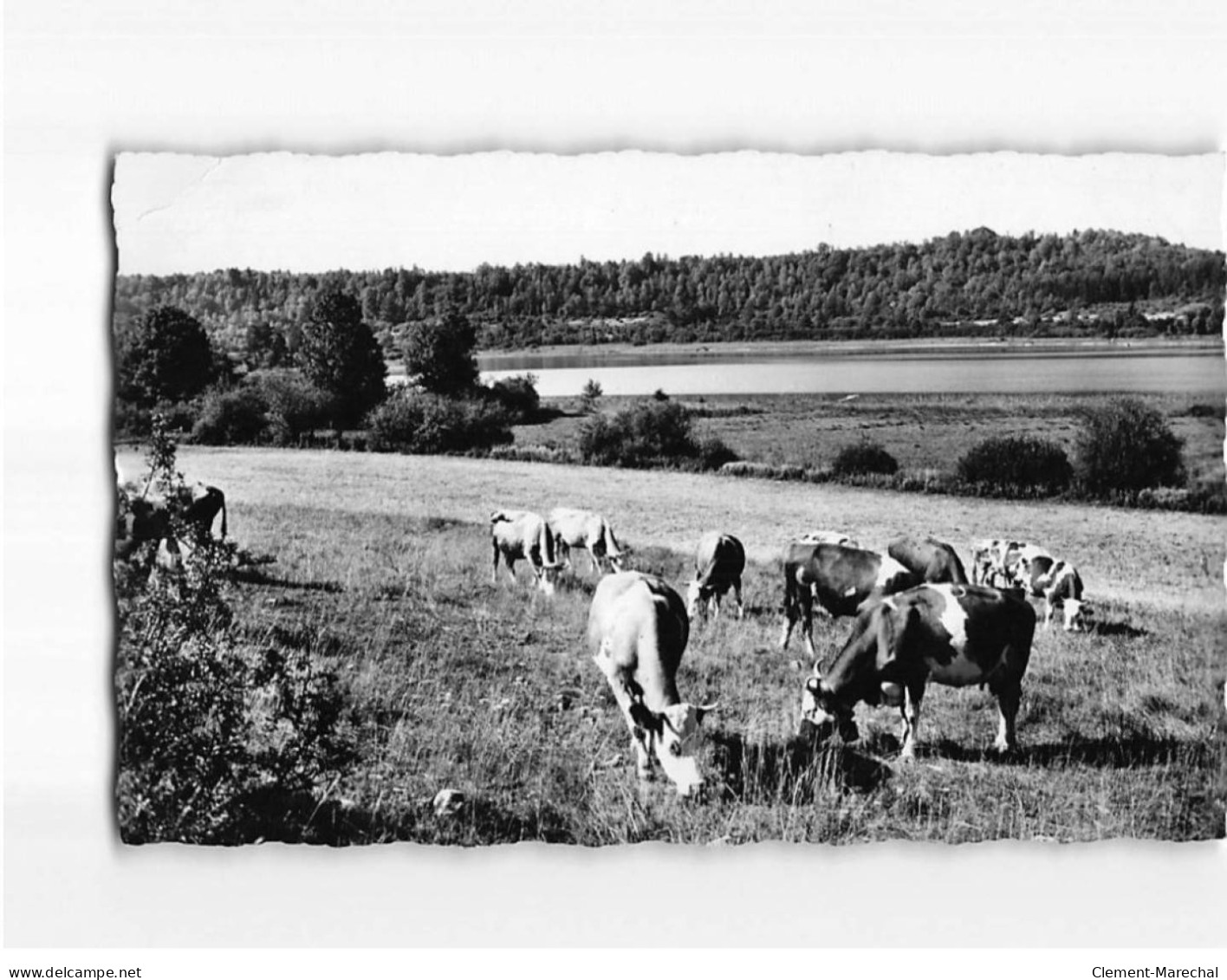 CLAIRVAUX LES LACS : Le Petit Lac - Très Bon état - Clairvaux Les Lacs