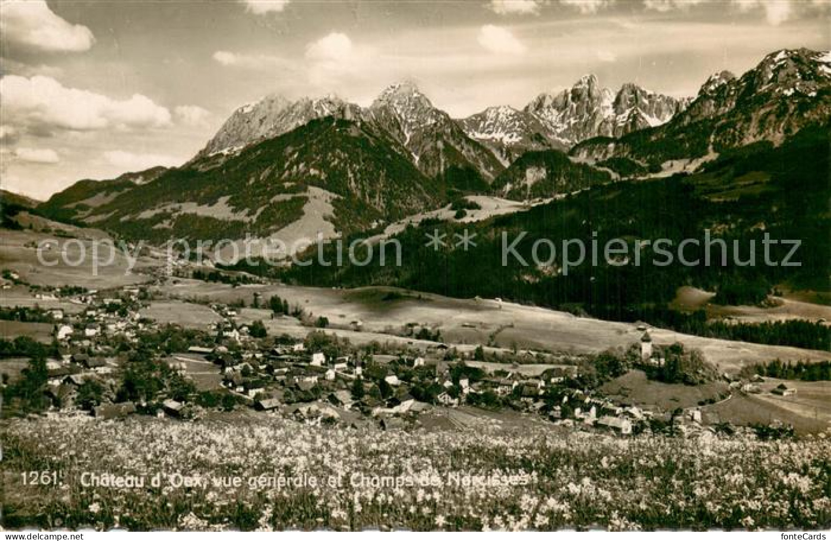 13757469 Chateau-d Oex Vue Generale Et Champs De Neraisses Chateau-d Oex - Autres & Non Classés