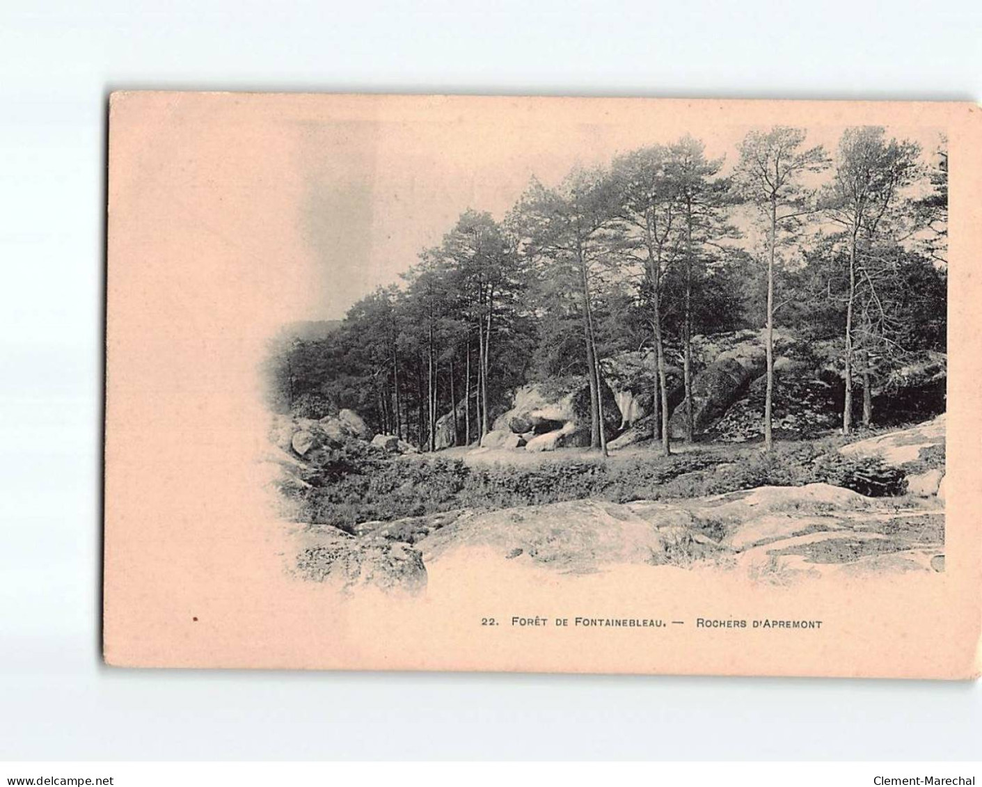 Forêt De Fontainebleau, Rochers D'Apremont - état - Autres & Non Classés