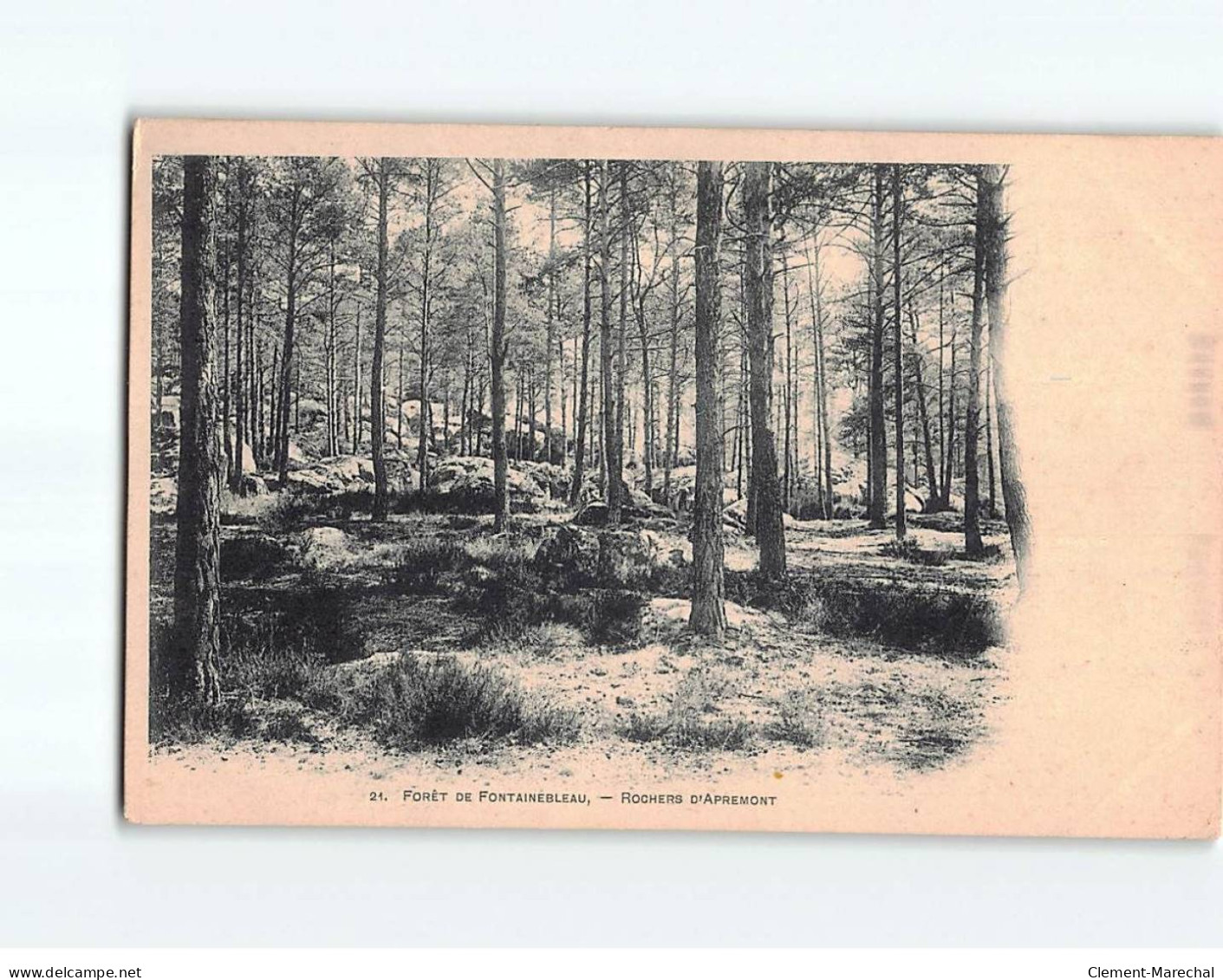 Forêt De Fontainebleau, Rochers D'Apremont - état - Altri & Non Classificati