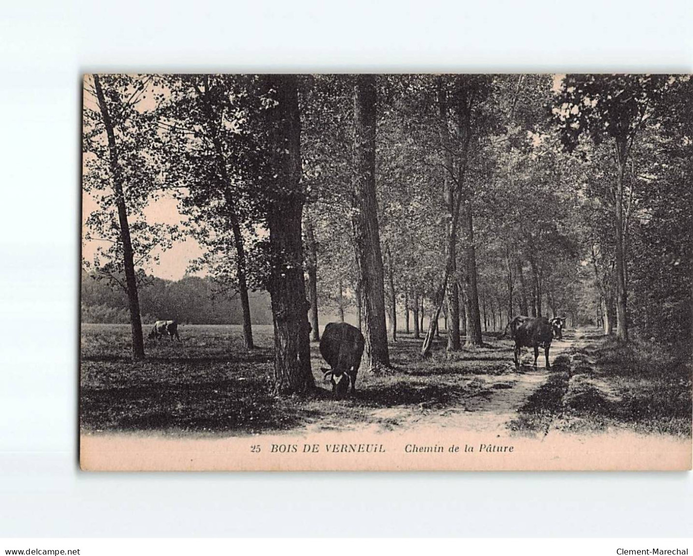 Bois De VERNEUIL : Chemin De La Pâture - Très Bon état - Verneuil Sur Seine