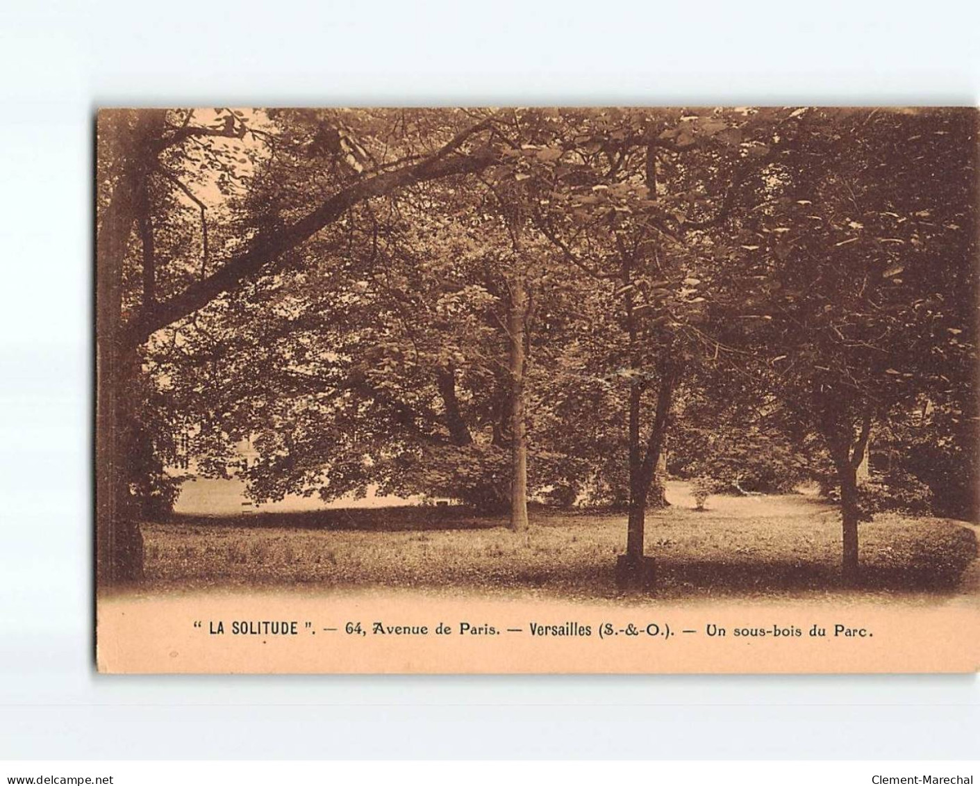 VERSAILLES : " La Solitude ", Un Sous Bois Du Parc - état - Versailles