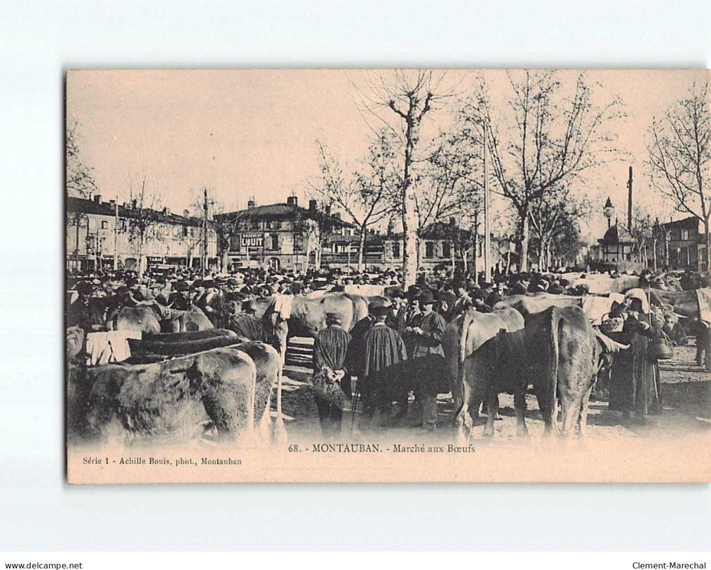 MONTAUBAN : Marché Aux Boeufs - Très Bon état - Montauban