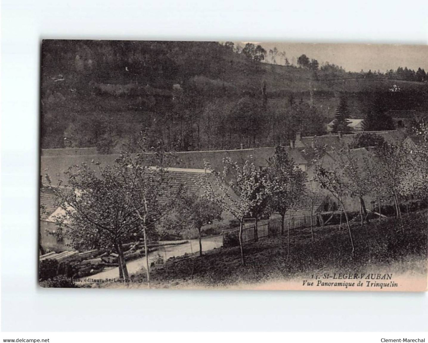 SAINT LEGER VAUBAN : Vue Panoramique De Trinquelin - Très Bon état - Sonstige & Ohne Zuordnung