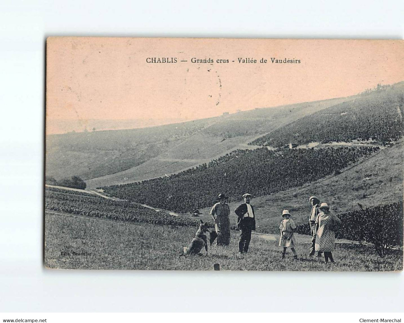 CHABLIS : Grands Crus, Vallée De Vaudésirs - état - Chablis