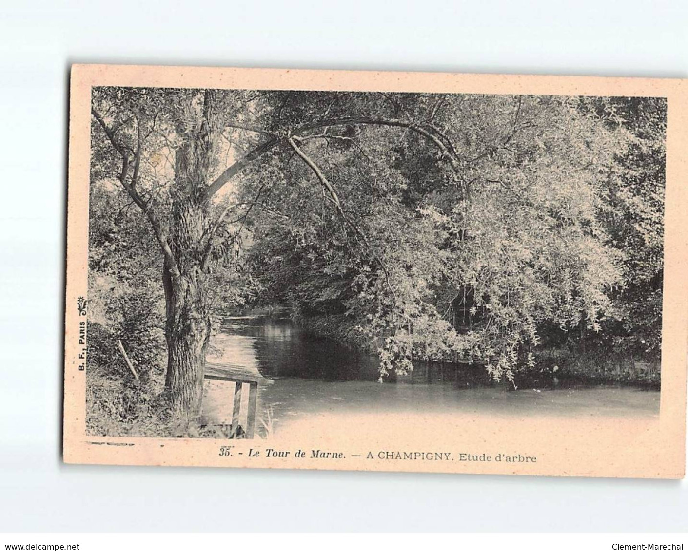 CHAMPIGNY : Le Tour De Marne, Etude D'arbre - Très Bon état - Champigny Sur Marne