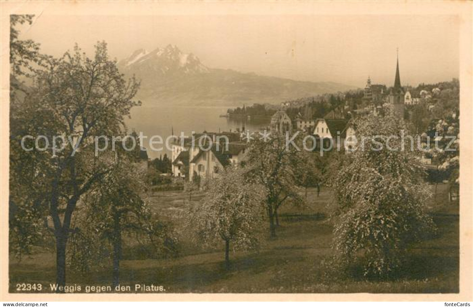 13755667 Weggis Vierwaldstaettersee Panorama Mit Pilatus Weggis Vierwaldstaetter - Altri & Non Classificati