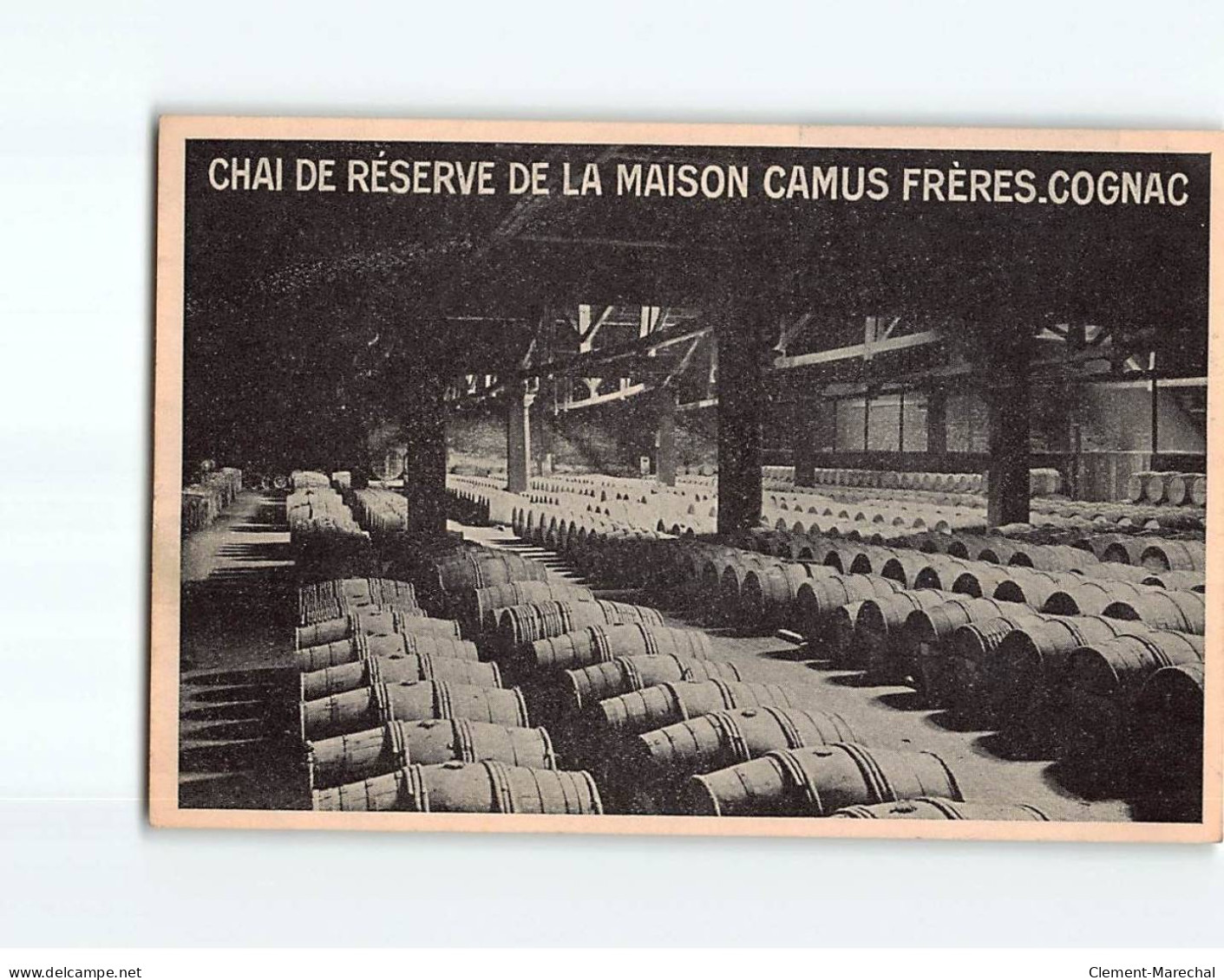 COGNAC : Chai De Réserve De La Maison Camus Frères - Très Bon état - Cognac
