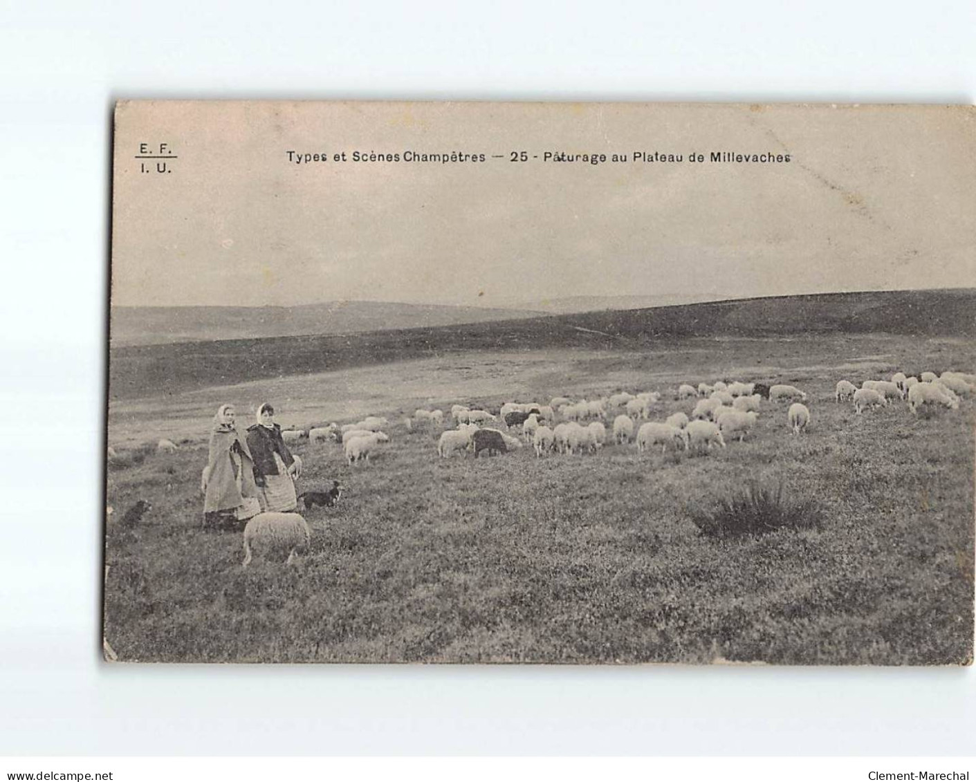 Types Et Scènes Champêtres, Pâturage Au Plateau De Millevaches - état - Andere & Zonder Classificatie