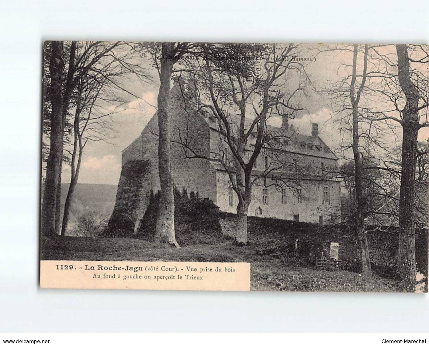 Château De Bretagne, La Roche-Jagu, Vue Prise Du Bois - Très Bon état - Altri & Non Classificati