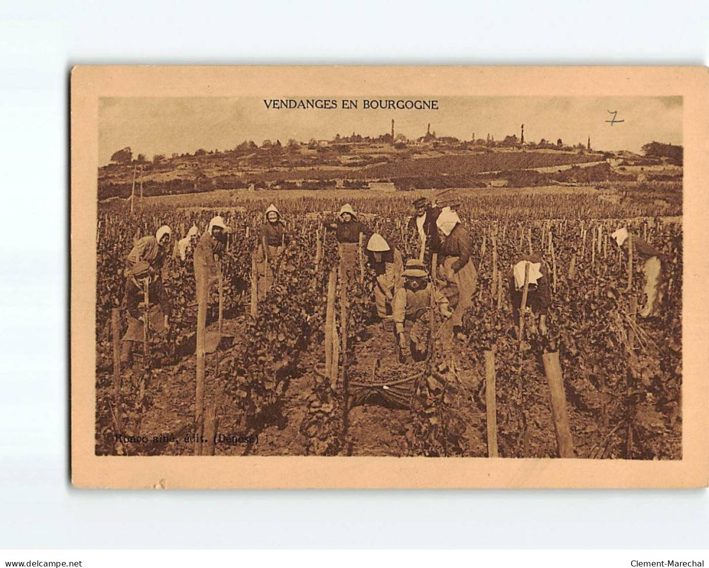 Vendanges En Bourgogne - Très Bon état - Autres & Non Classés