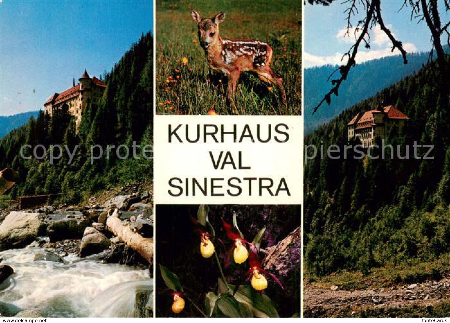 13748039 Val Sinestra Zuort GR Kurhaus Val Sinestra Rehkitz Panorama  - Other & Unclassified