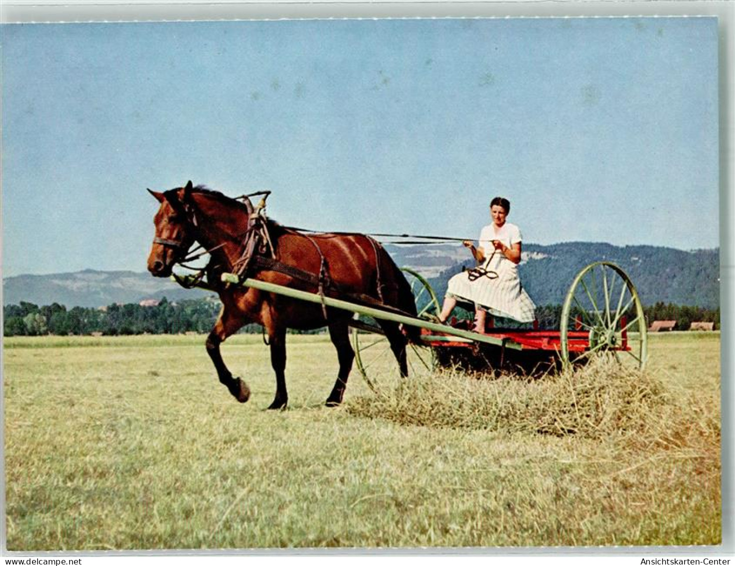 39749909 - Das Freiberger Pferd Zuverlaessiger Helfer Stiftung Fuer Das Pferd - Andere & Zonder Classificatie