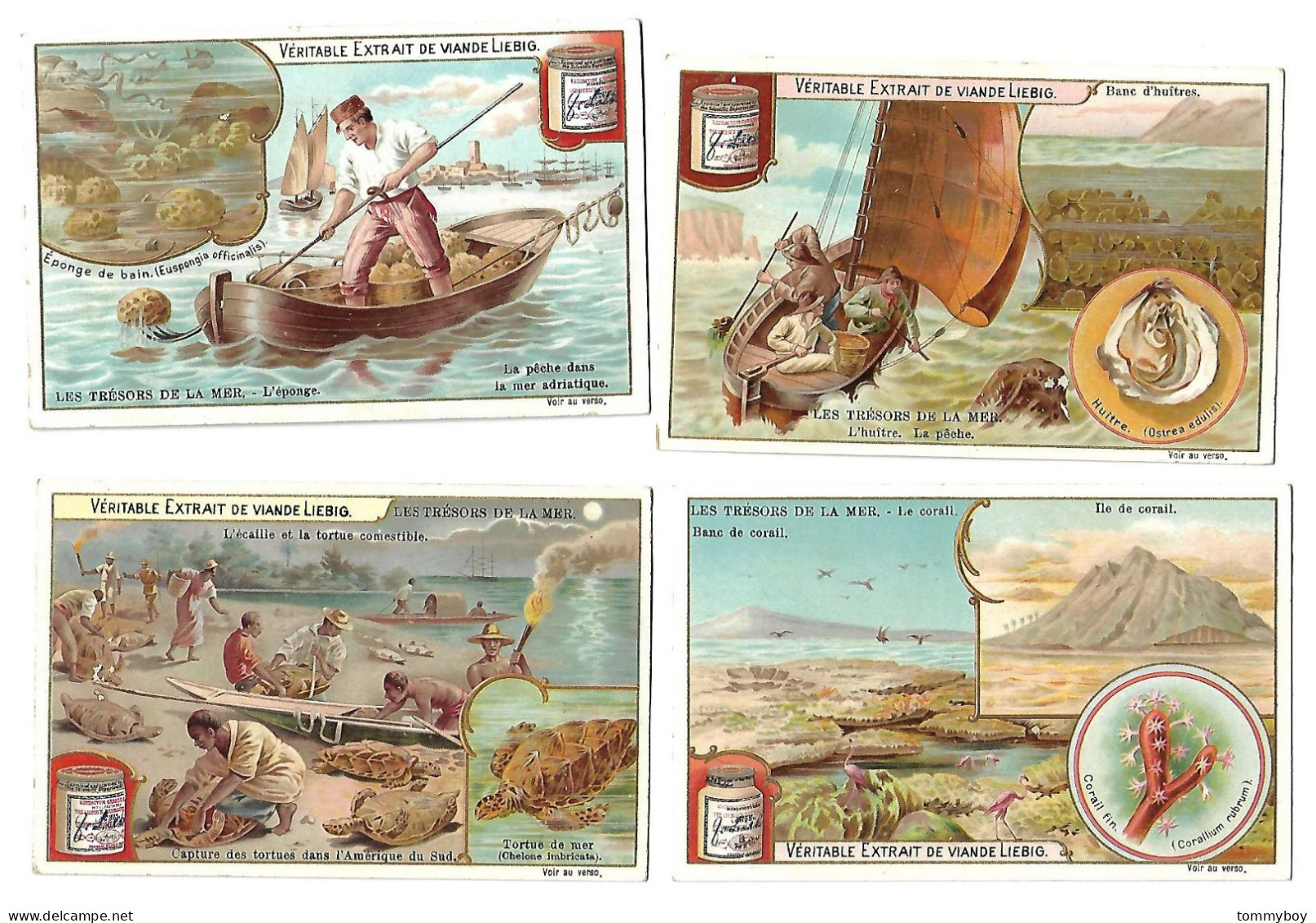 S 716, Liebig 6 Cards, Les Trésors De La Mer (stickers At The Backsides) (ref B18) - Liebig