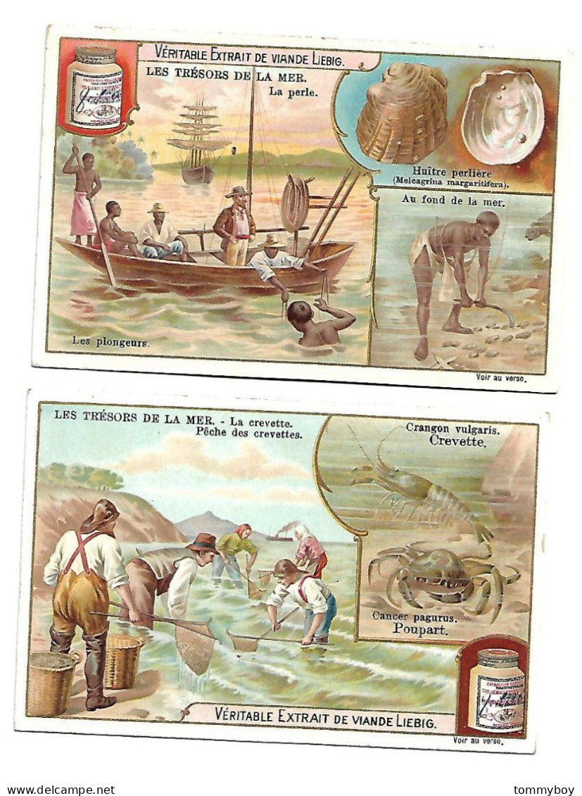 S 716, Liebig 6 Cards, Les Trésors De La Mer (stickers At The Backsides) (ref B18) - Liebig