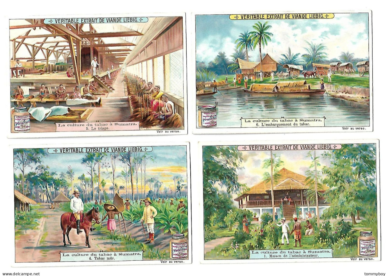 S 715, Liebig 6 Cards, La Culture Du Tabac à Sumatra  (ref B18) - Liebig