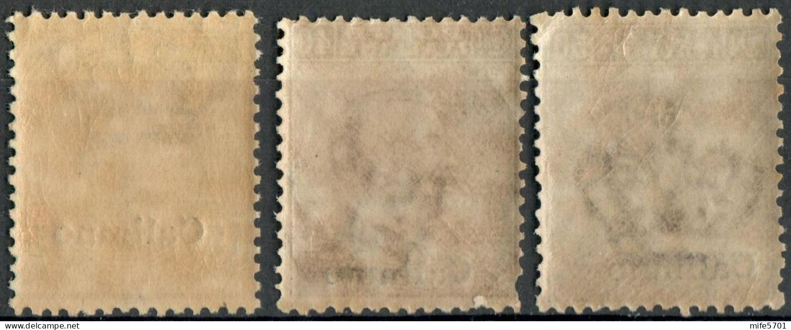 REGNO COLONIE EGEO CALINO 1916 TRE FRANCOBOLLI C. 5 / C. 40 / C. 50 SOPRASTAMPATI 'CALIMNO' NUOVI MNH ** SASSONE 2-6/7 - Egée (Calino)