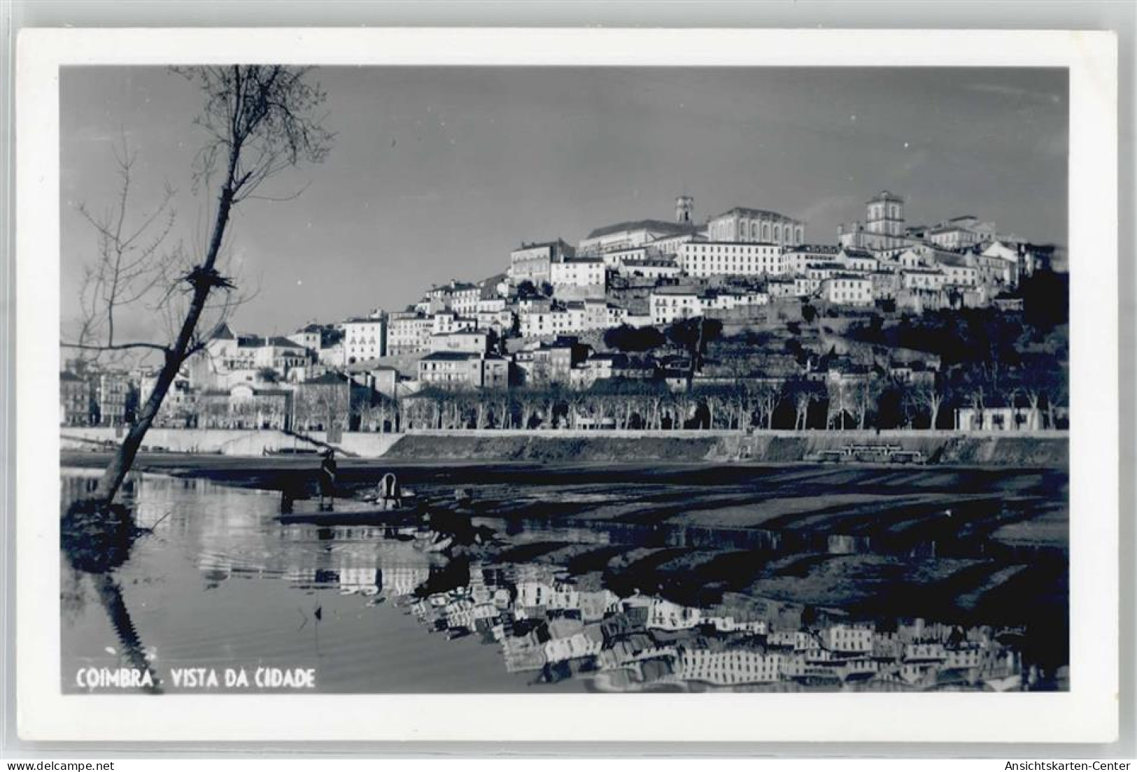51631409 - Coimbra - Other & Unclassified