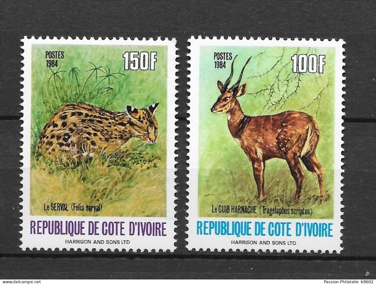 COTE D'EVORE ANIMALES Buschbock SERVAL 2v MNH** - Côte D'Ivoire (1960-...)