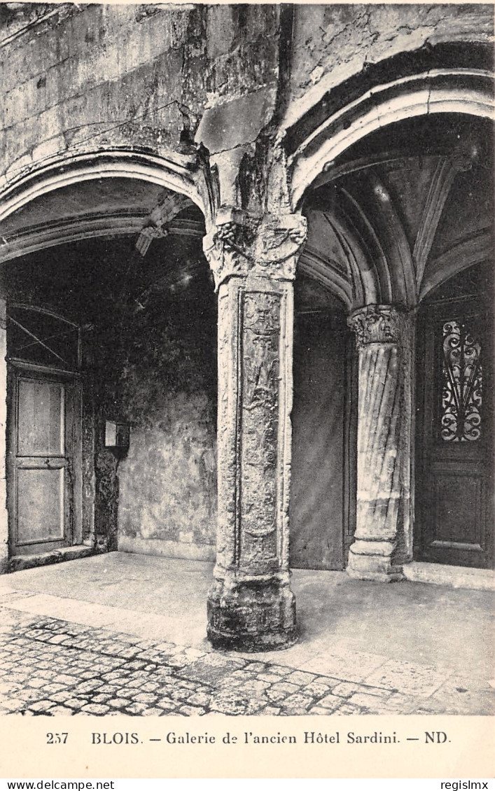 41-BLOIS GALERIE DE L ANCIEN HOTEL SARDINI-N°T1163-D/0057 - Blois