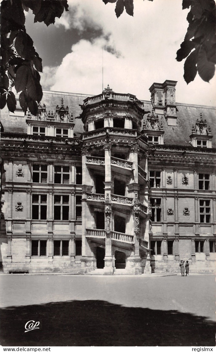 41-BLOIS LE CHÂTEAU-N°T1163-C/0221 - Blois