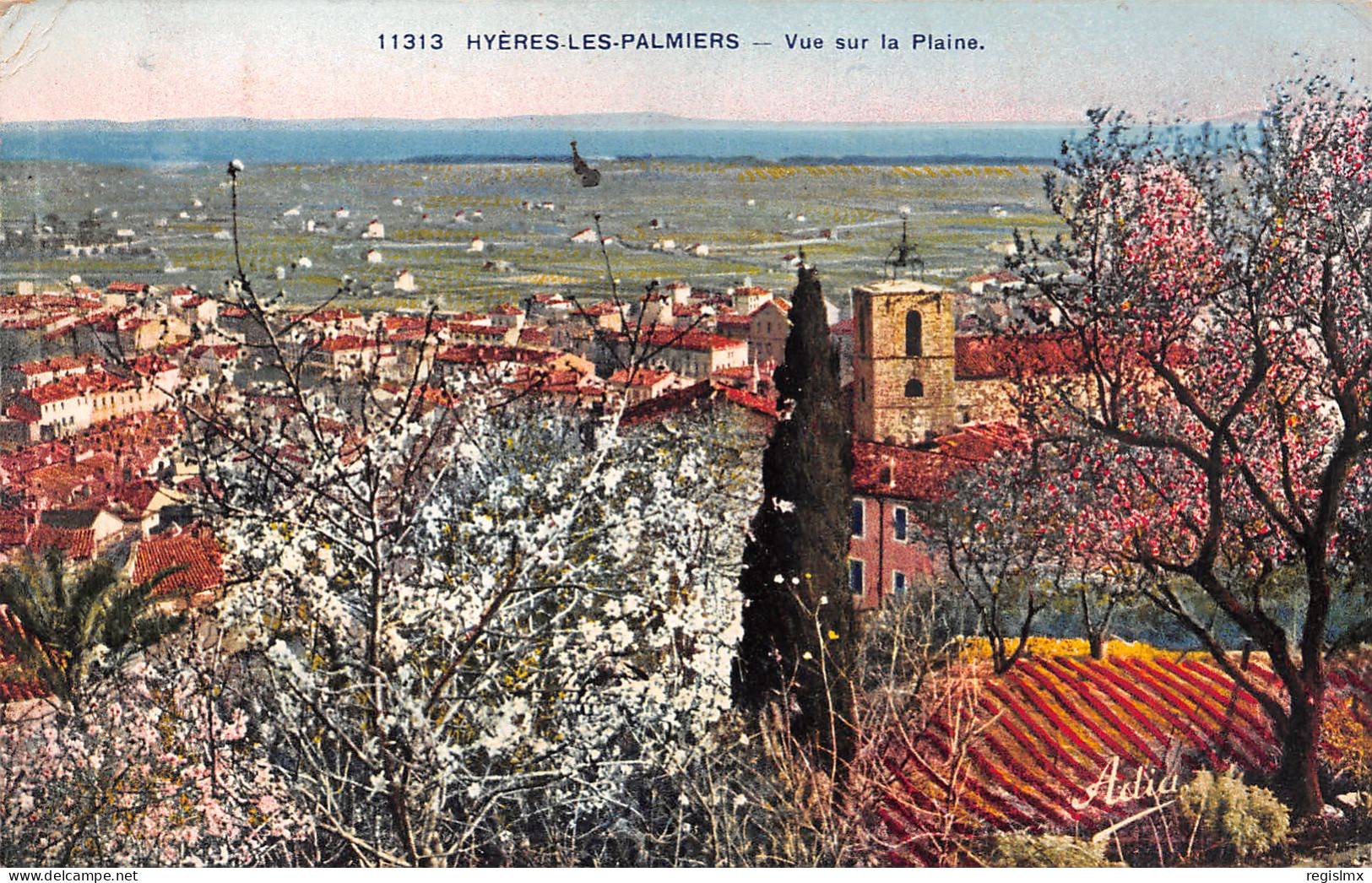 83-HYERES LES PALMIERS-N°T1164-A/0209 - Hyeres