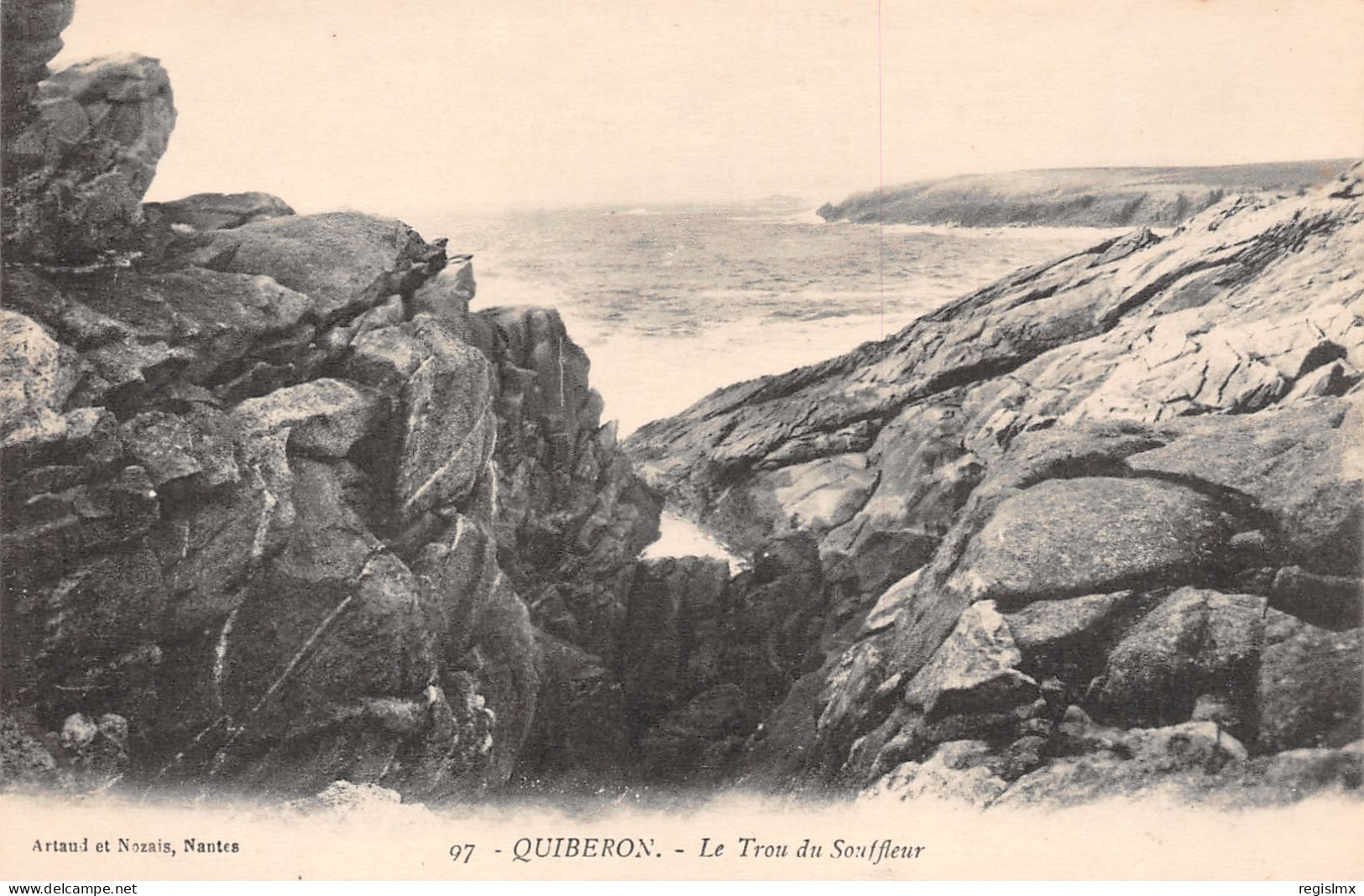 56-QUIBERON-N°T1164-D/0341 - Quiberon