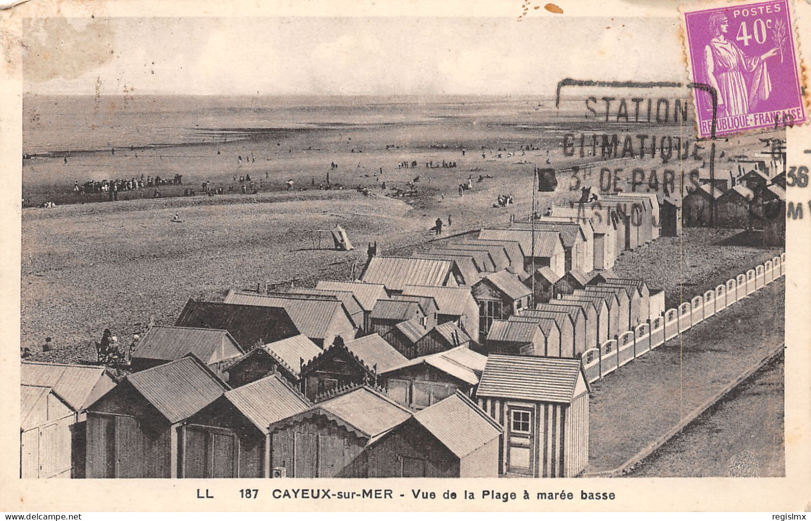 80-CAYEUX SUR MER-N°T1165-F/0237 - Cayeux Sur Mer