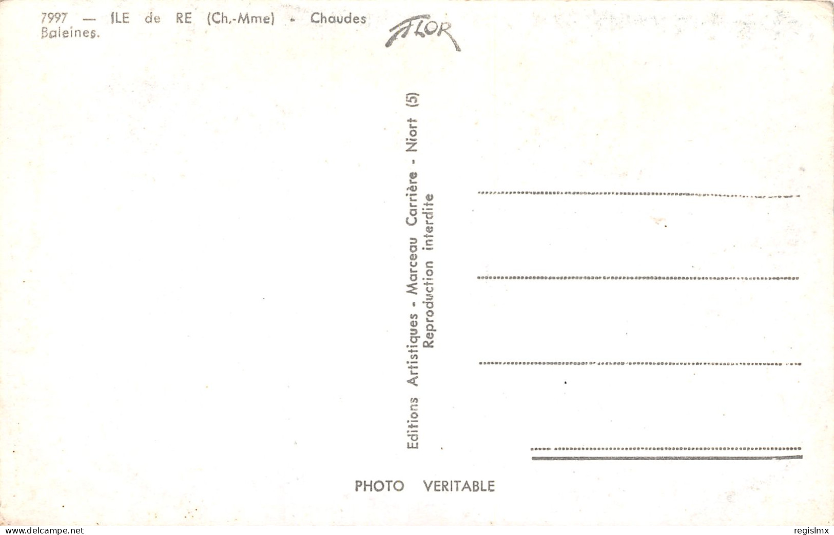 17-ILE DE RE-N°T1166-B/0217 - Ile De Ré