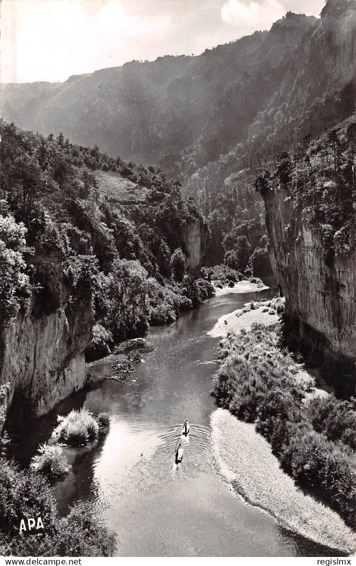 48-GORGES DU TARN-N°T1166-A/0259 - Gorges Du Tarn