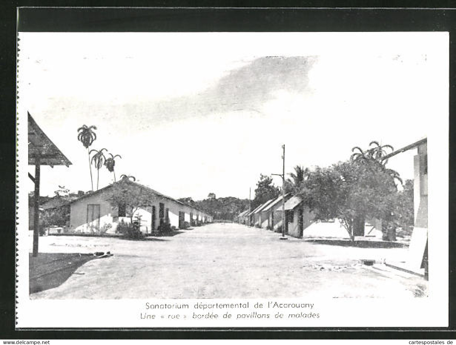 AK Acarouany, Sanatorium, Une Rue Bordée De Pavillons De Malades  - Altri & Non Classificati