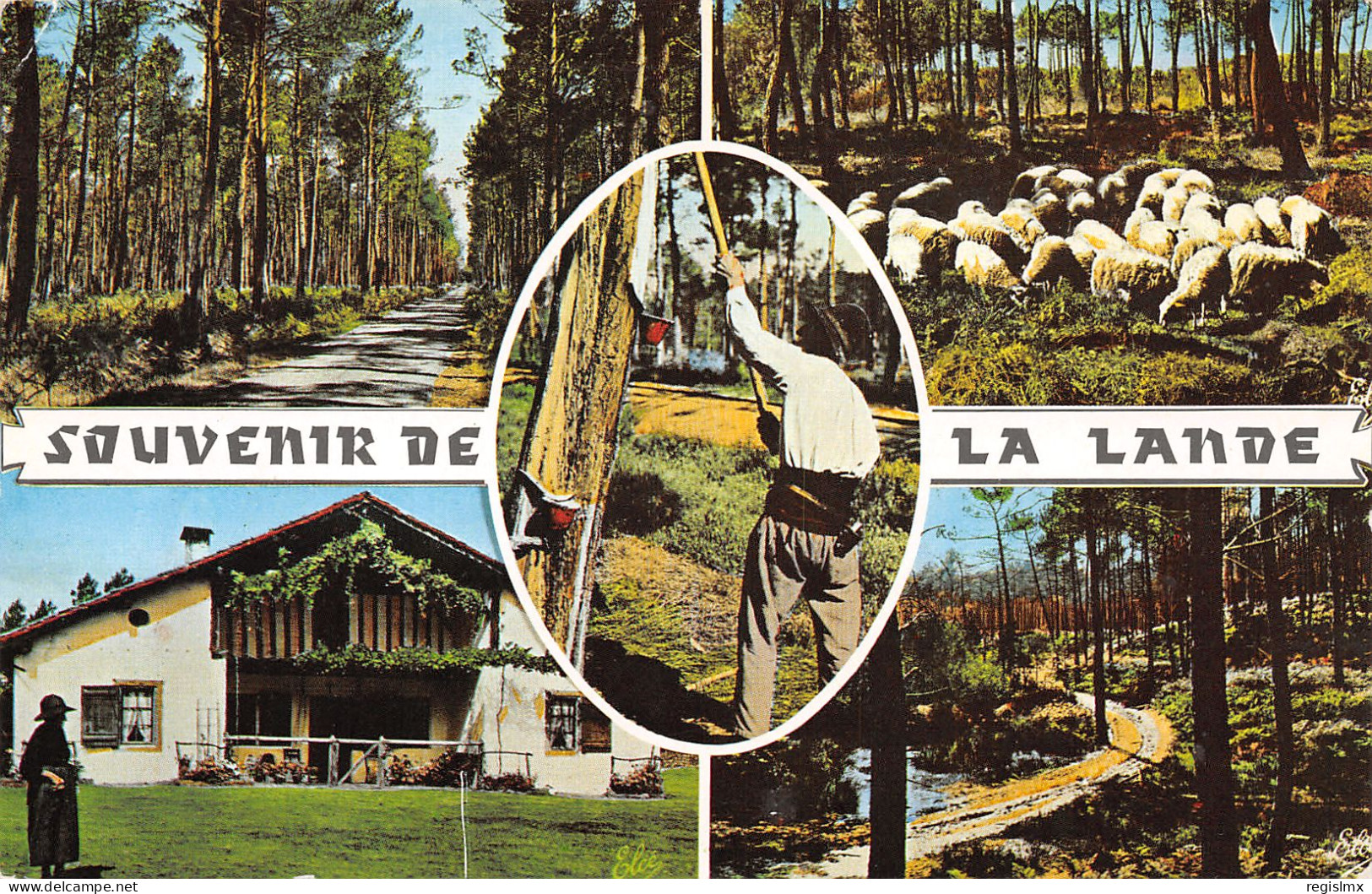 40-LES LANDES-N°T1166-H/0245 - Other & Unclassified