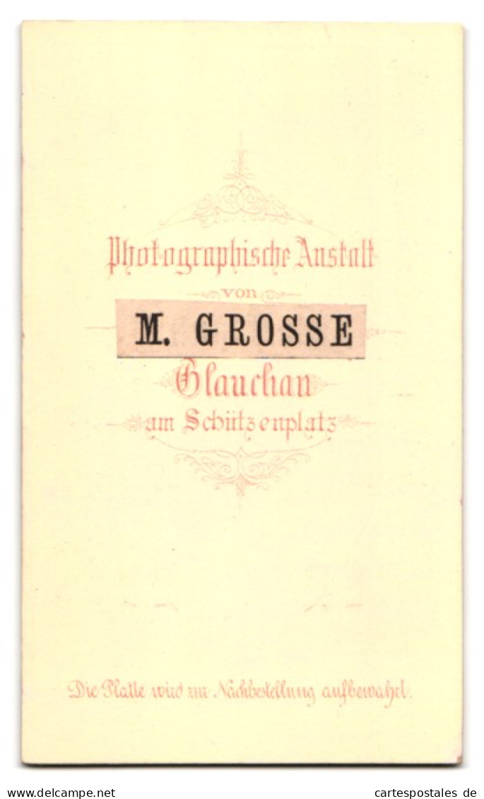 Fotografie M. Grosse, Glauchau, Am Schützenplatz, Portrait Junge Dame In Hübscher Kleidung  - Personnes Anonymes