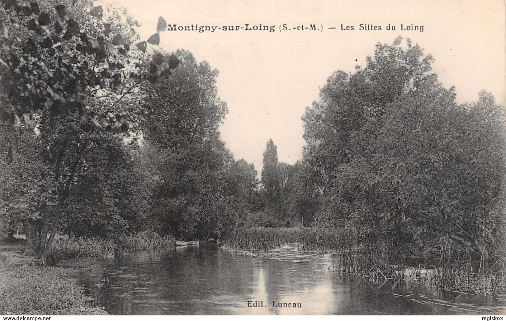 77-MONTIGNY SUR LOING-N°T1167-B/0371 - Other & Unclassified