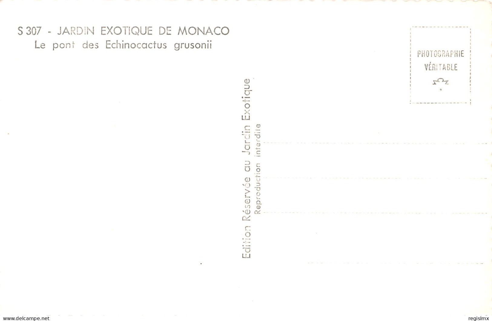 98-MONACO JARDIN EXOTIQUE-N°T1168-D/0287 - Other & Unclassified
